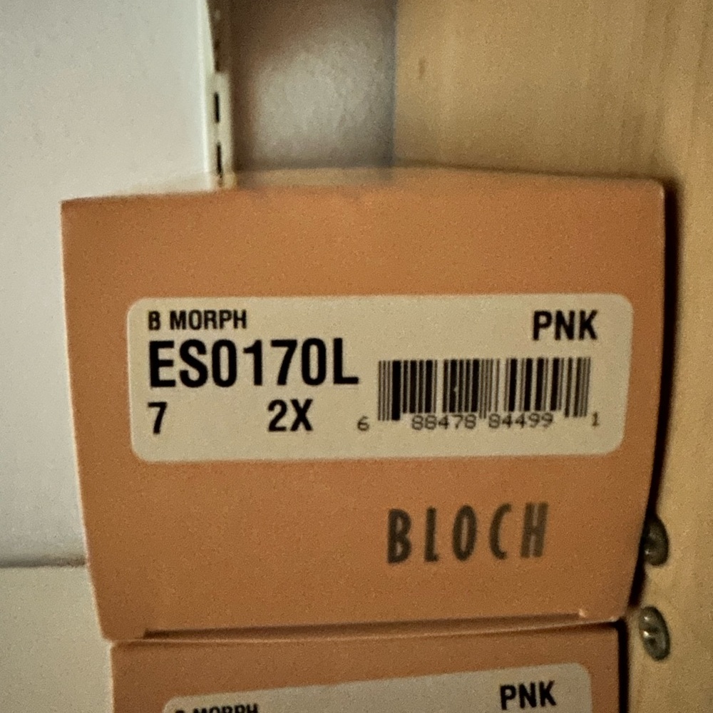 Bloch Pointe Shoes